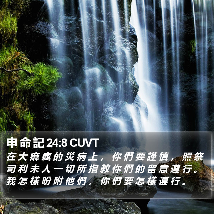 申 命 記 24:8 CUVT Bible Study