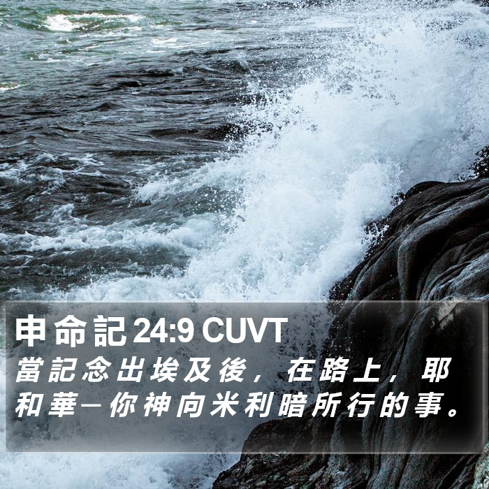 申 命 記 24:9 CUVT Bible Study