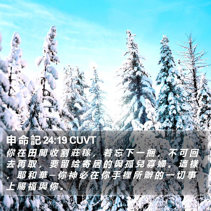 申 命 記 24:19 CUVT Bible Study