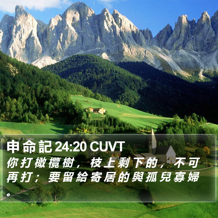 申 命 記 24:20 CUVT Bible Study