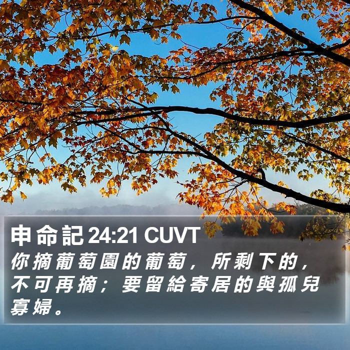 申 命 記 24:21 CUVT Bible Study