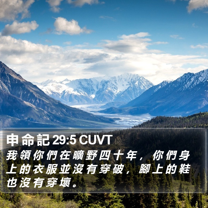 申 命 記 29:5 CUVT Bible Study