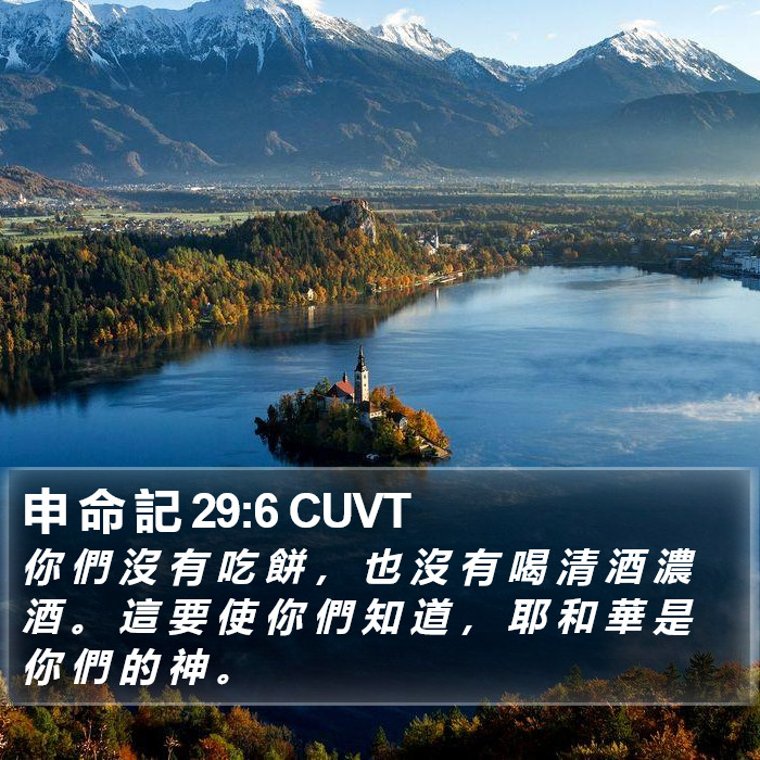 申 命 記 29:6 CUVT Bible Study