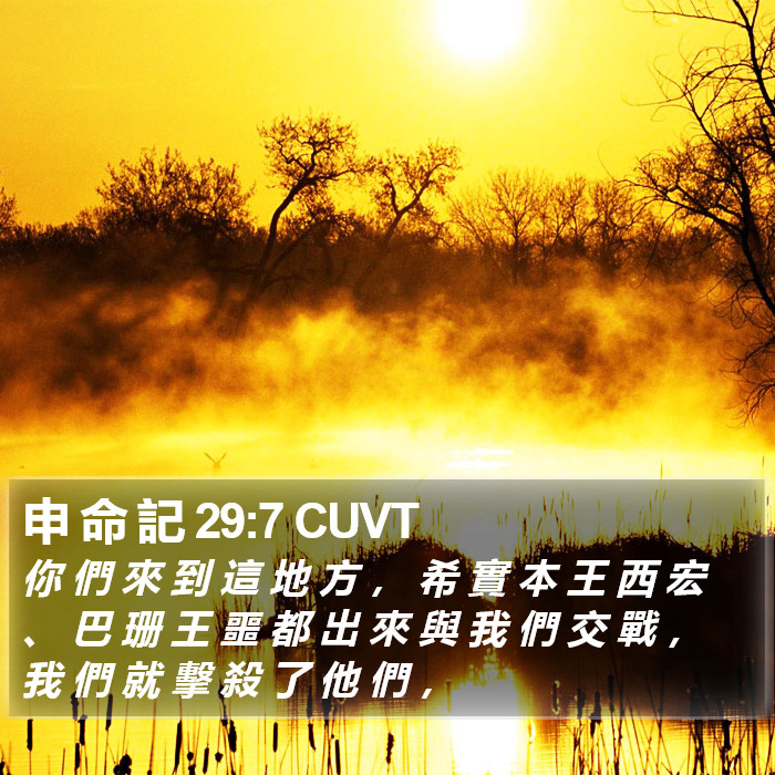 申 命 記 29:7 CUVT Bible Study