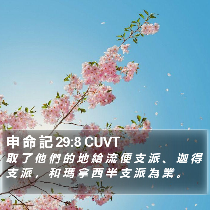 申 命 記 29:8 CUVT Bible Study