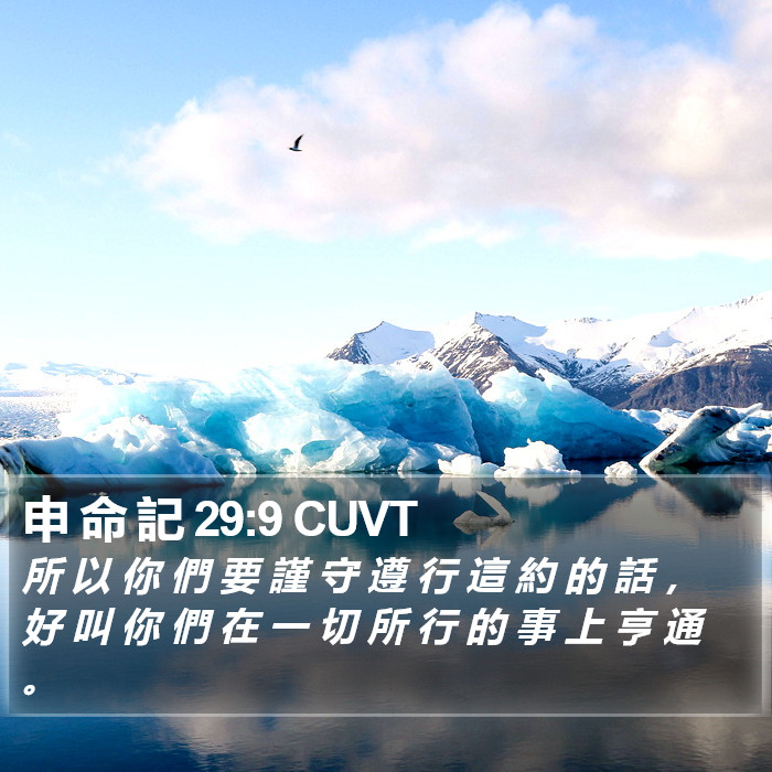 申 命 記 29:9 CUVT Bible Study