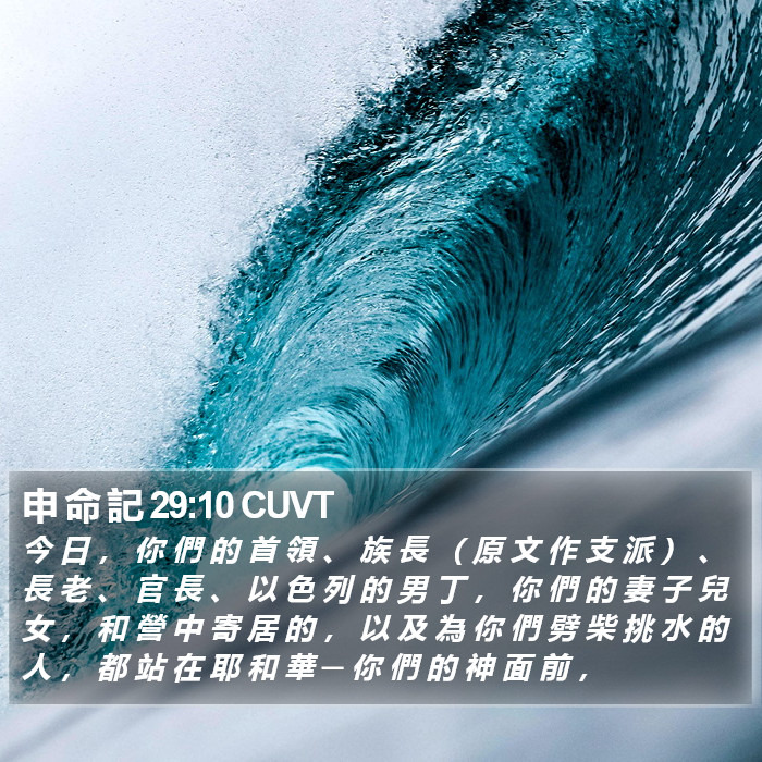 申 命 記 29:10 CUVT Bible Study