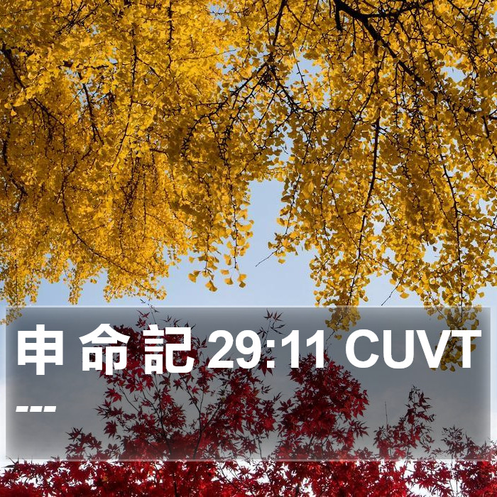 申 命 記 29:11 CUVT Bible Study