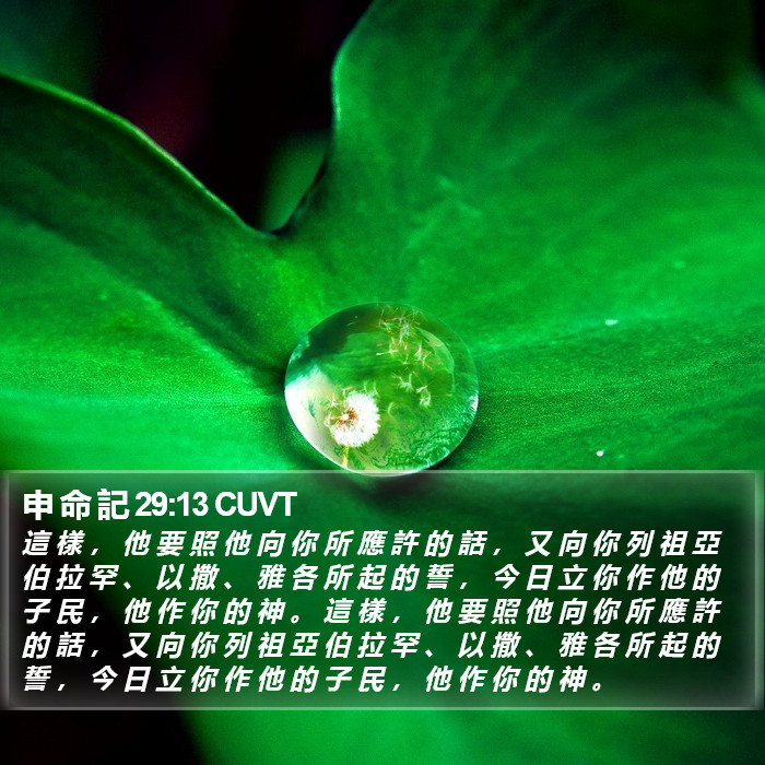 申 命 記 29:13 CUVT Bible Study