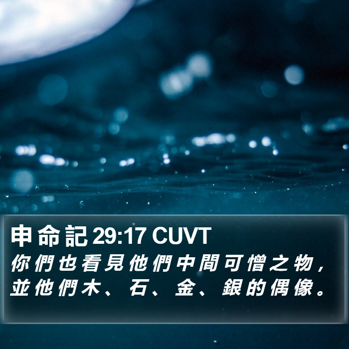 申 命 記 29:17 CUVT Bible Study
