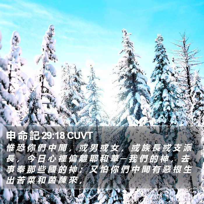 申 命 記 29:18 CUVT Bible Study