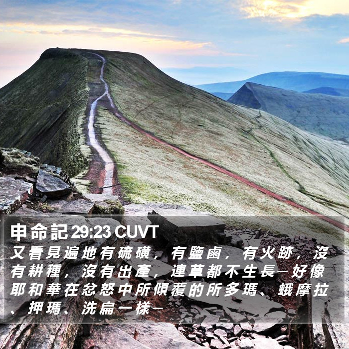 申 命 記 29:23 CUVT Bible Study