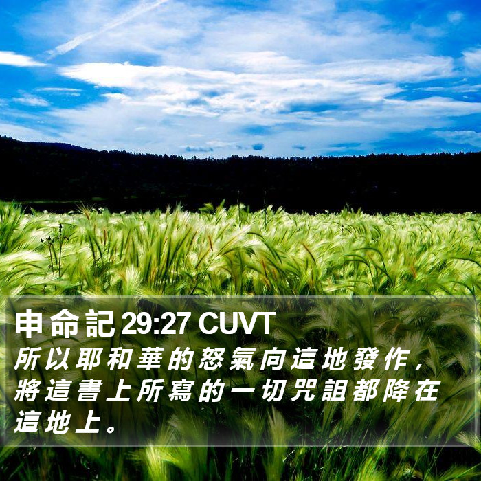 申 命 記 29:27 CUVT Bible Study