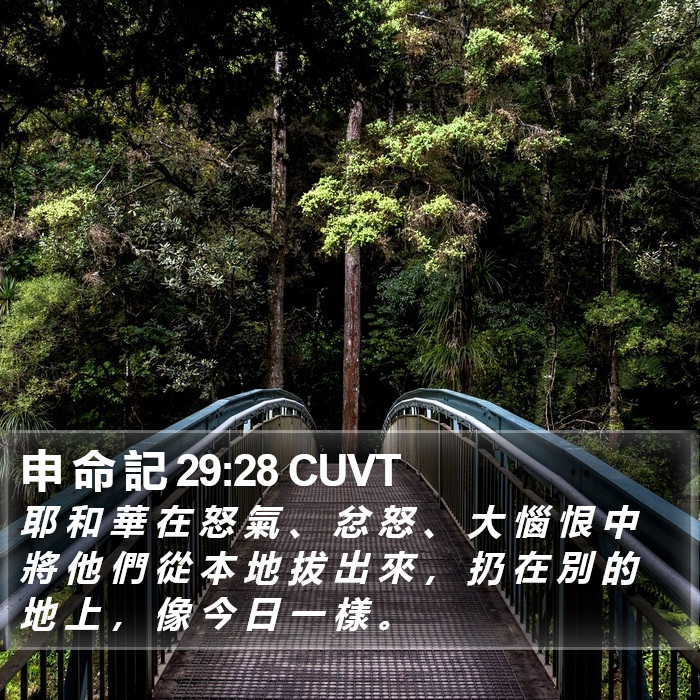 申 命 記 29:28 CUVT Bible Study