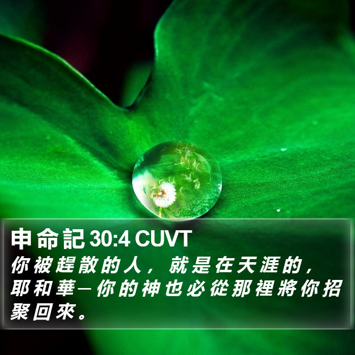 申 命 記 30:4 CUVT Bible Study
