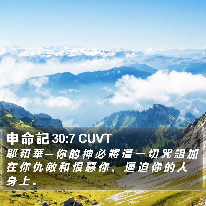 申 命 記 30:7 CUVT Bible Study