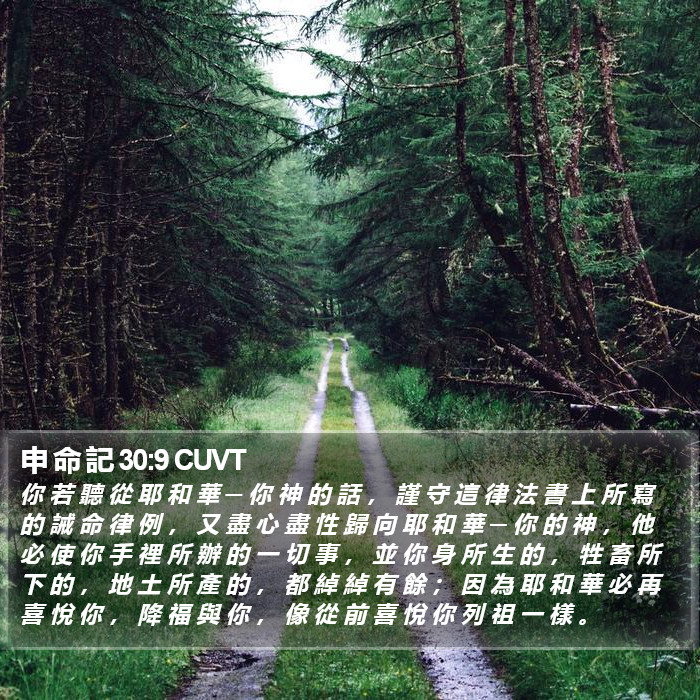 申 命 記 30:9 CUVT Bible Study