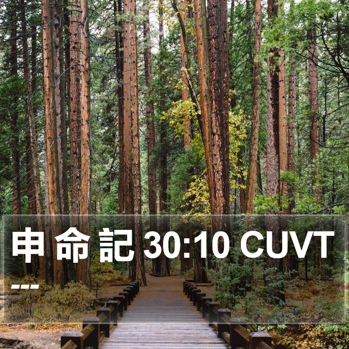 申 命 記 30:10 CUVT Bible Study
