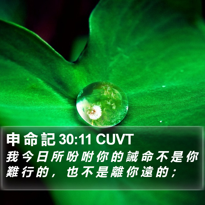 申 命 記 30:11 CUVT Bible Study