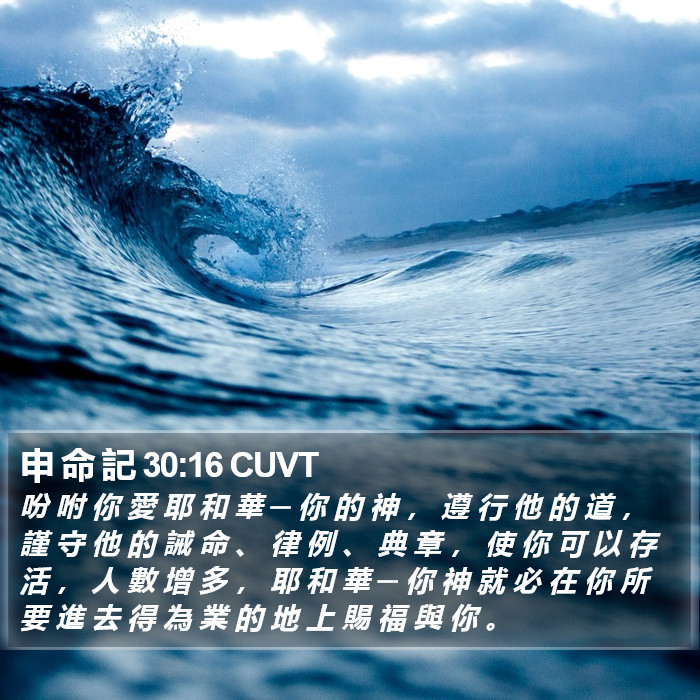 申 命 記 30:16 CUVT Bible Study