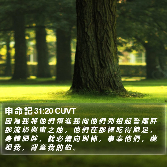 申 命 記 31:20 CUVT Bible Study