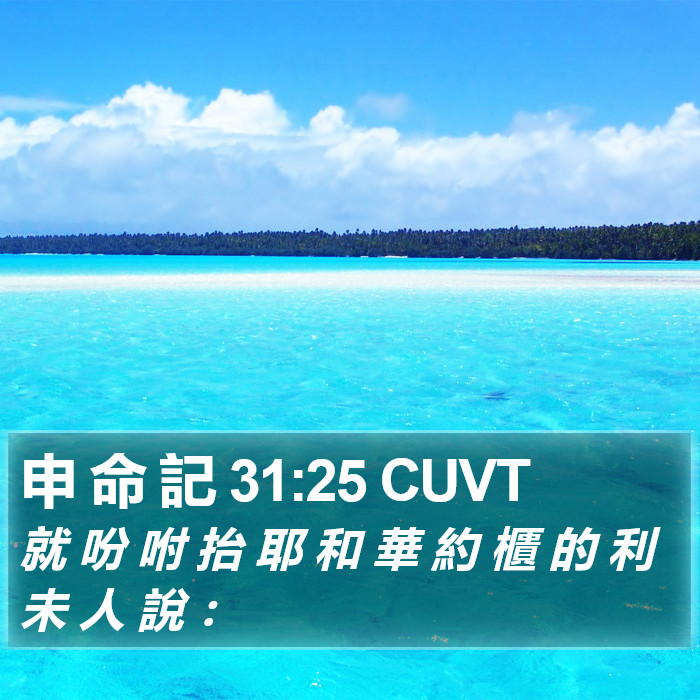 申 命 記 31:25 CUVT Bible Study