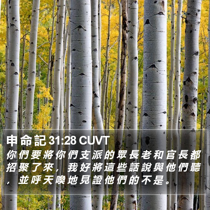 申 命 記 31:28 CUVT Bible Study