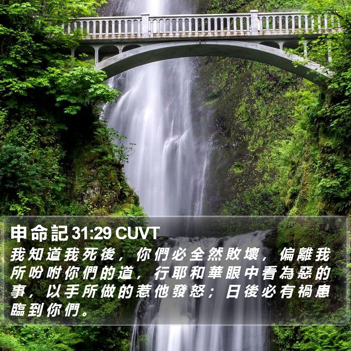 申 命 記 31:29 CUVT Bible Study