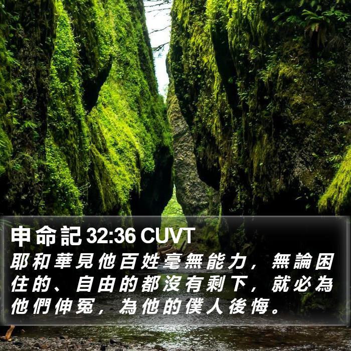 申 命 記 32:36 CUVT Bible Study