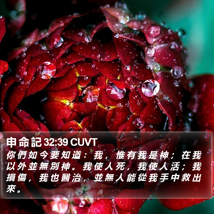 申 命 記 32:39 CUVT Bible Study