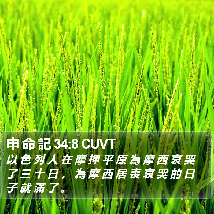 申 命 記 34:8 CUVT Bible Study