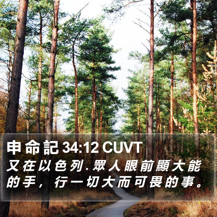 申 命 記 34:12 CUVT Bible Study