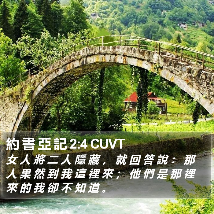 約 書 亞 記 2:4 CUVT Bible Study