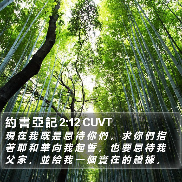 約 書 亞 記 2:12 CUVT Bible Study