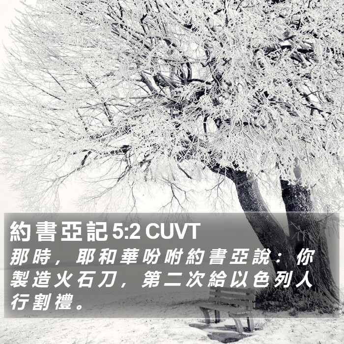 約 書 亞 記 5:2 CUVT Bible Study