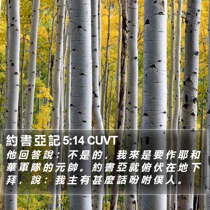 約 書 亞 記 5:14 CUVT Bible Study