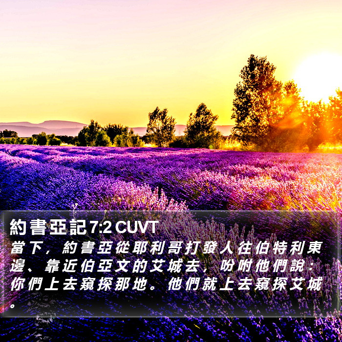 約 書 亞 記 7:2 CUVT Bible Study