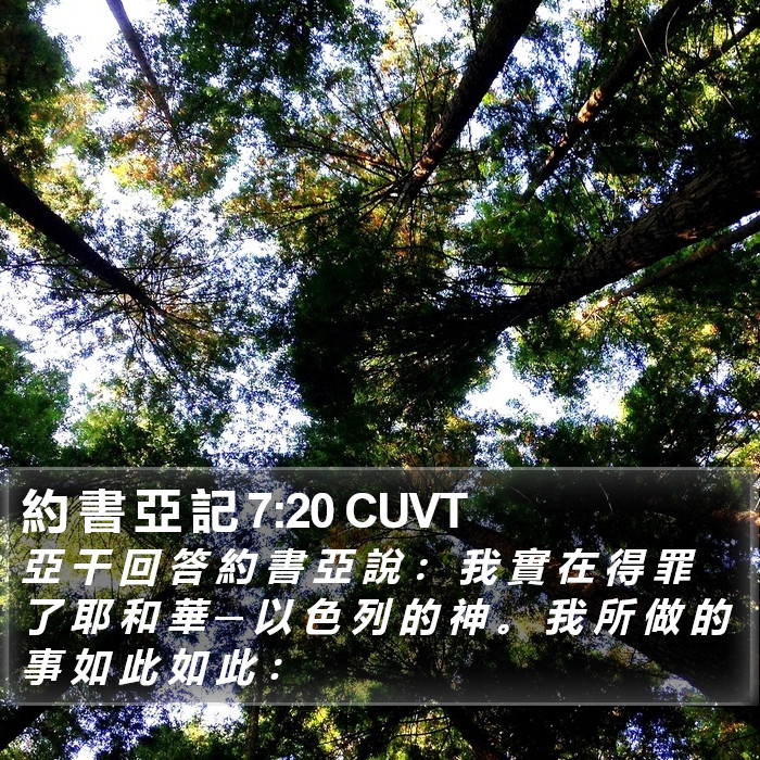 約 書 亞 記 7:20 CUVT Bible Study