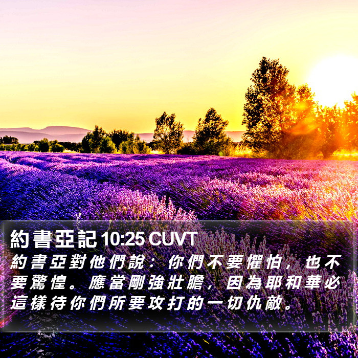 約 書 亞 記 10:25 CUVT Bible Study