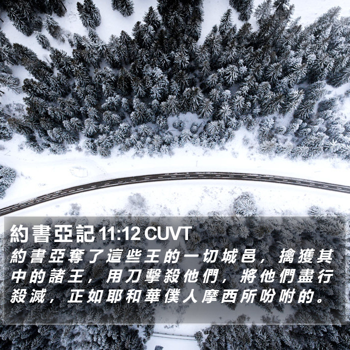 約 書 亞 記 11:12 CUVT Bible Study