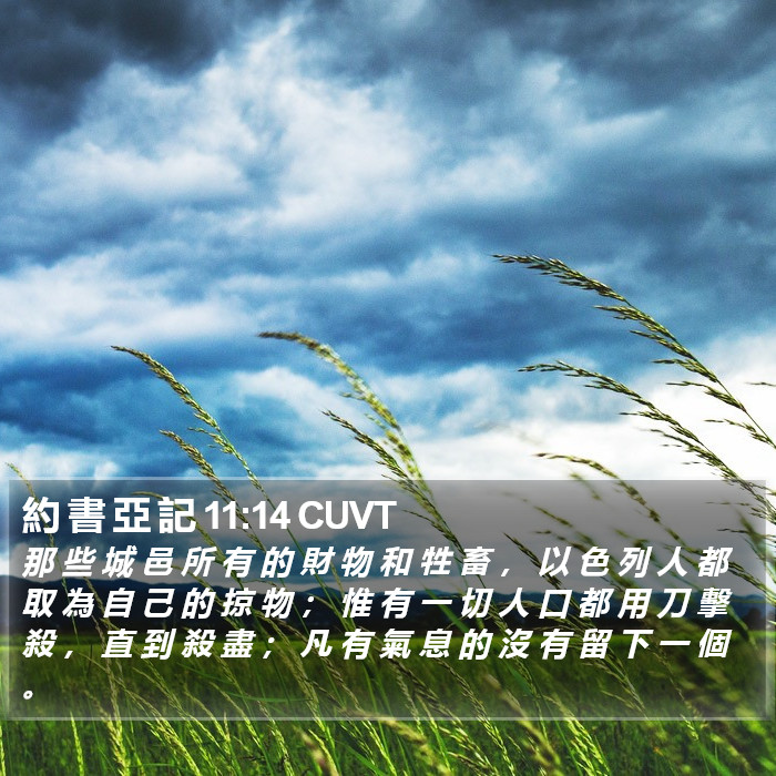 約 書 亞 記 11:14 CUVT Bible Study