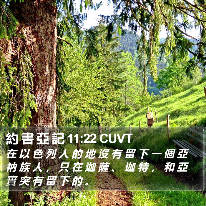 約 書 亞 記 11:22 CUVT Bible Study