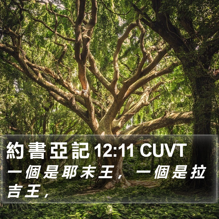 約 書 亞 記 12:11 CUVT Bible Study