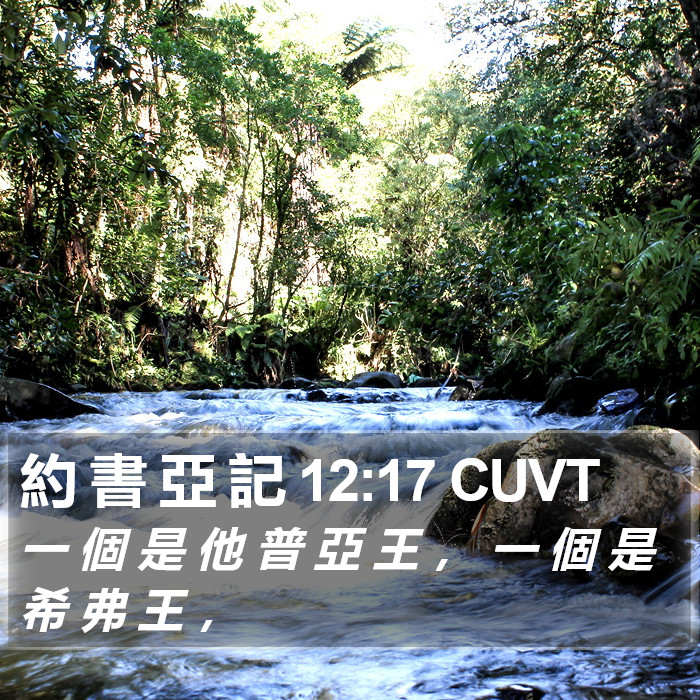 約 書 亞 記 12:17 CUVT Bible Study
