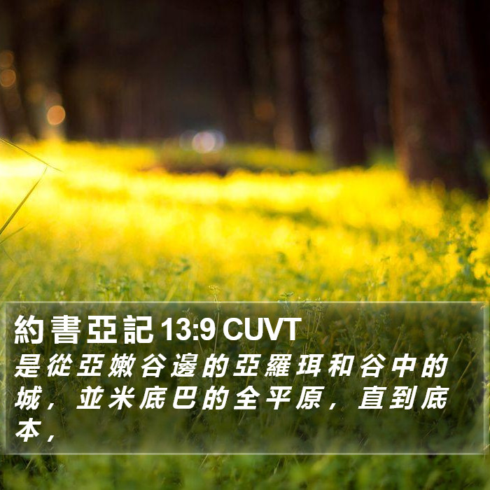 約 書 亞 記 13:9 CUVT Bible Study