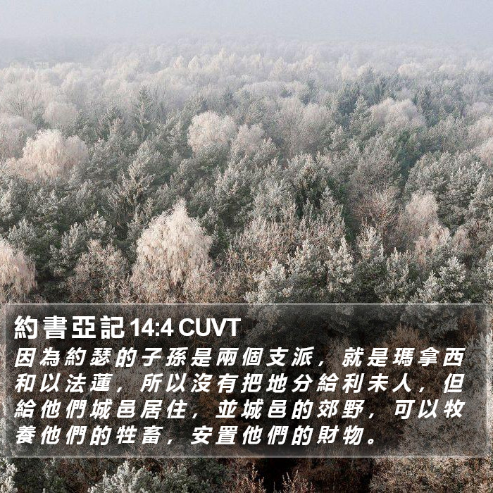 約 書 亞 記 14:4 CUVT Bible Study