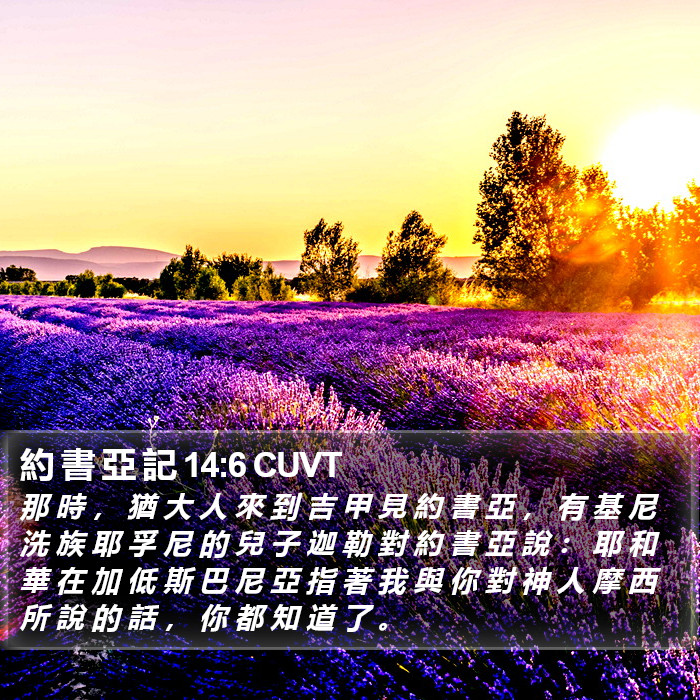 約 書 亞 記 14:6 CUVT Bible Study