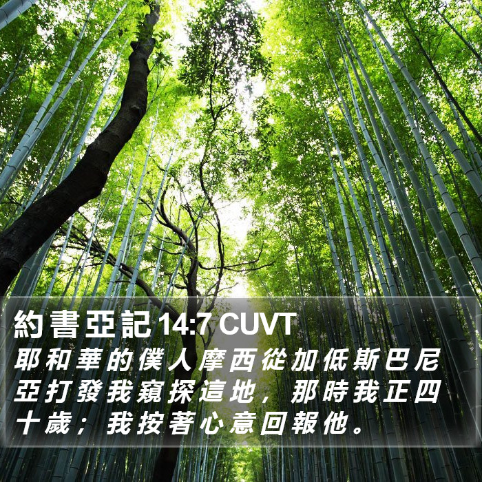 約 書 亞 記 14:7 CUVT Bible Study