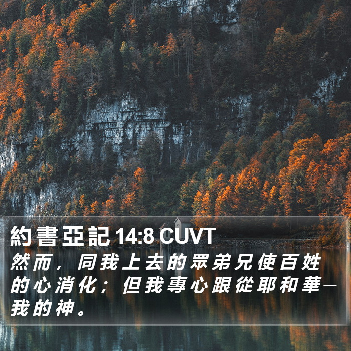 約 書 亞 記 14:8 CUVT Bible Study