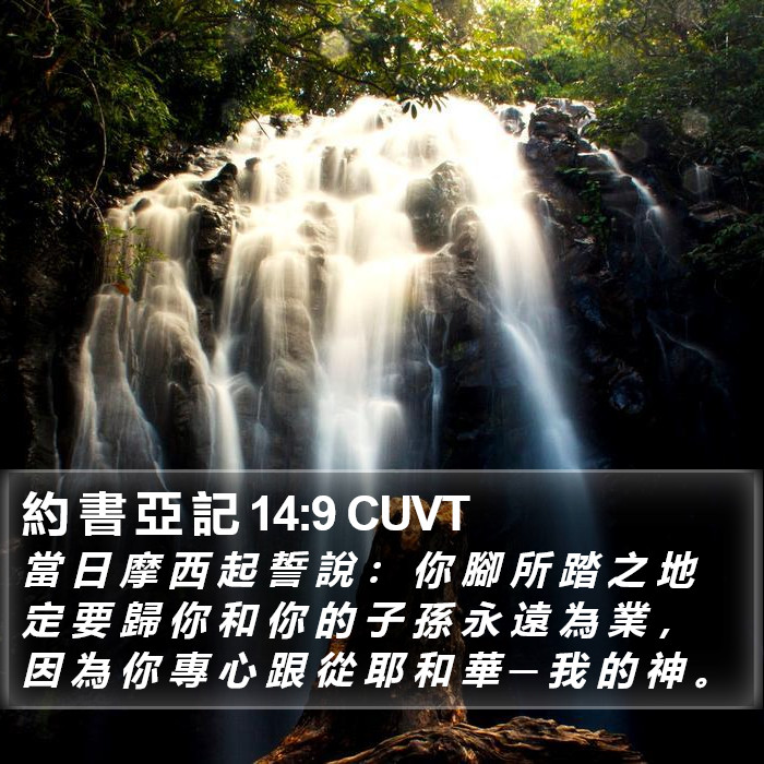 約 書 亞 記 14:9 CUVT Bible Study